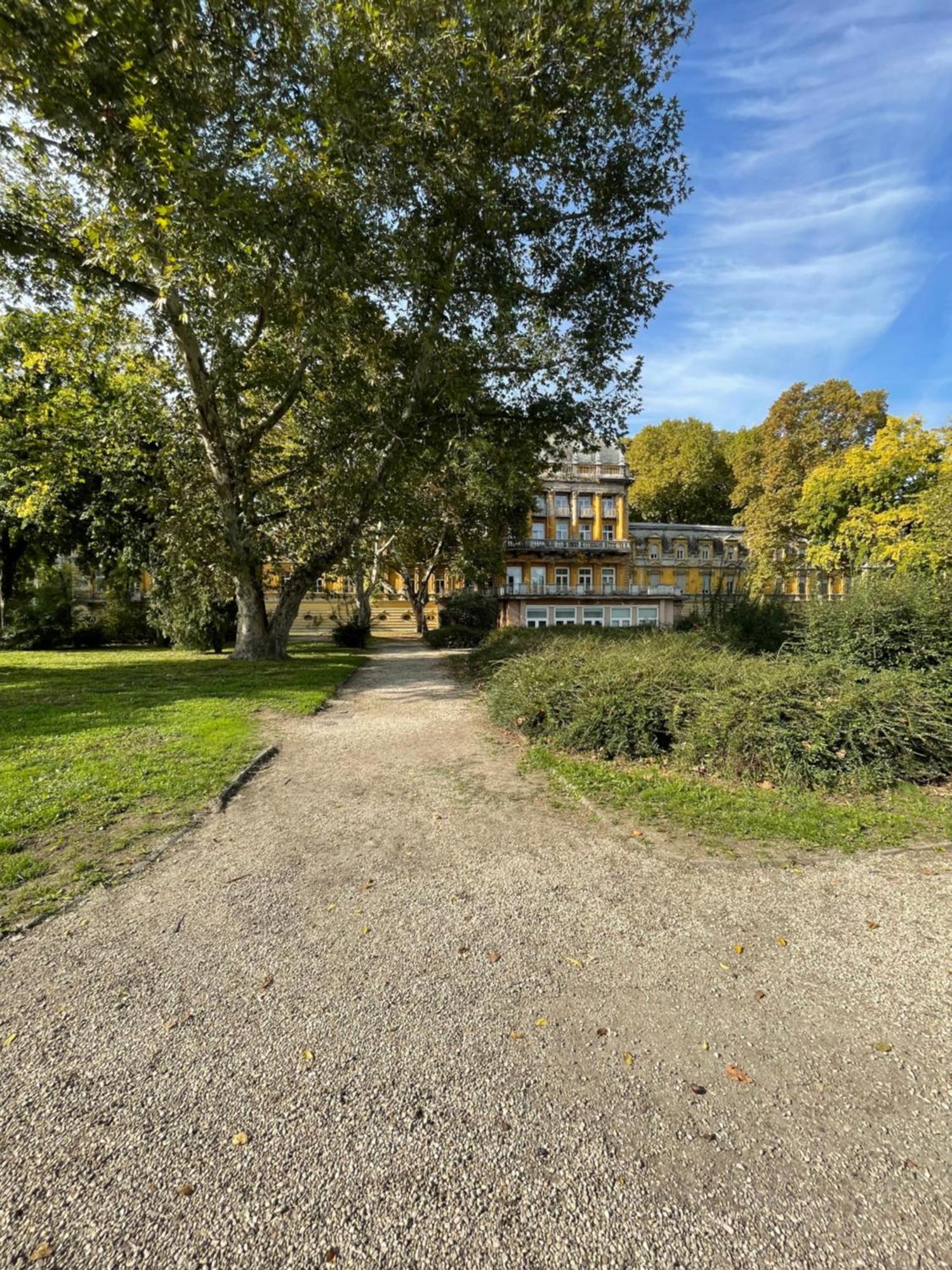 Margaret Apartment Next To The Lukacs Spa With Panorama Danube Budapeszt Zewnętrze zdjęcie